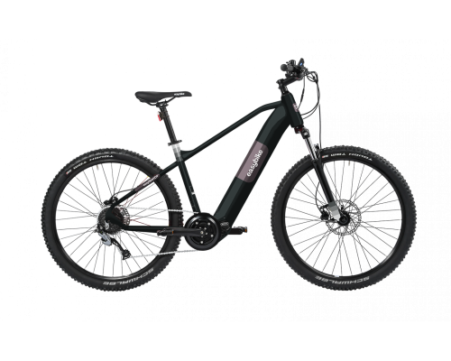 Vélo électrique Easybike...