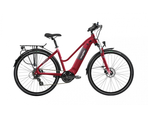 Vélo électrique Easybike...