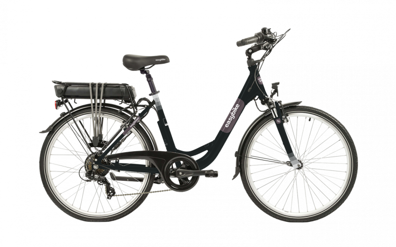 E-Bike Vision Chargeur de batterie pour vélo électrique 36V 6Ah