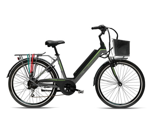 Qwic Premium/Performance batterie vélo électrique 36v 417Wh