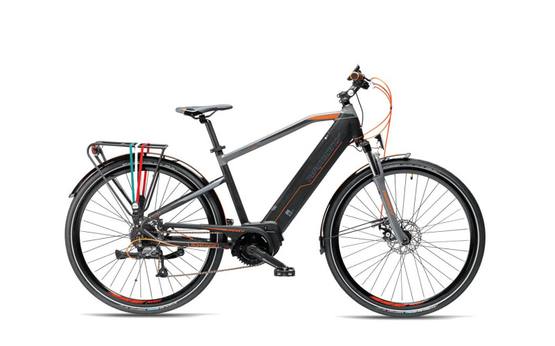 Vélo électrique Viareggio 504Wh - gris